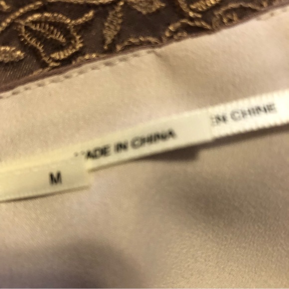 Kimchi Blue Light Brown Cream Lining Chiffon Lace Dress - Picture 4 of 5